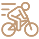 Bicycle Rental